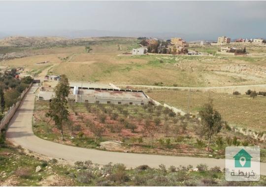 مزرعة فاخرة تحتوي على اسطبل للخيول للبيع في طريق البحر الميت