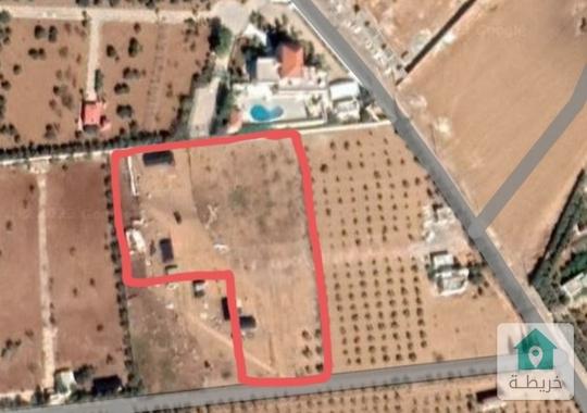 أرض زراعية للإيجار  في ام العمد