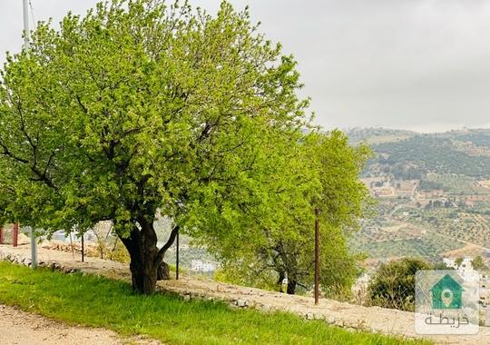 ارض للبيع من اجمل الاراضي غرب جرش سوف تصلح لبناء شالية او مزرعة صغيرة 