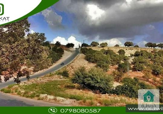 ارض مميزة للبيع في تل الرمان بمساحة 9500 م