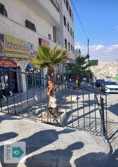 محل اراجيل للبيع بداعي السفر سعر حرق 