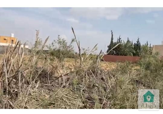 ارض للبيع  1307 م الشونة الجنوبية  منطقة شاليهات غور نمرين  السماسير