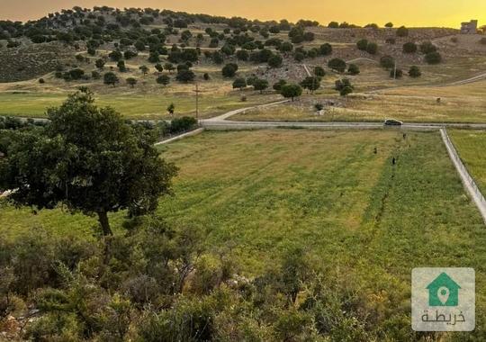 قطعة أرض للبيع في اجمل مناطق السلط  جلعد 