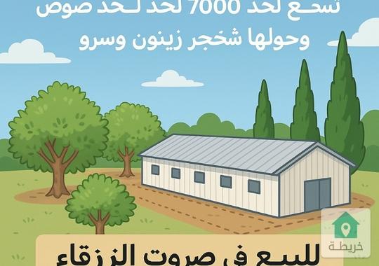 ارض مشترك محدد للبيع بسعر مغري 