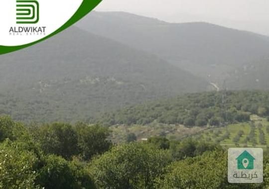 ارض مميزة للبيع في تل الرمان المساحة 5 دونم بجانب مطعم خيل وليل موقع اطلالة مزارع وشاليهات واصل جميع