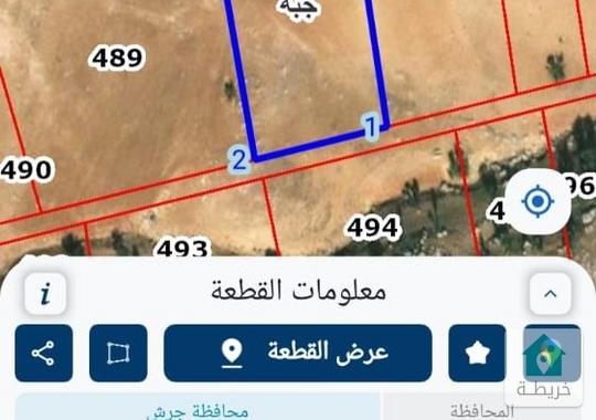  فرصة استثمارية ذهبية في أجمل مناطق جرش  للبيع 