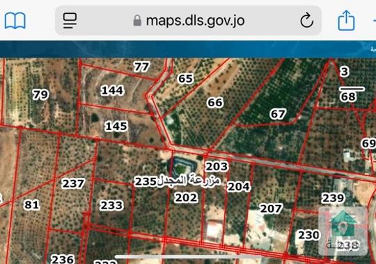 ارض مع منسوب واطلاله ذات مناظر طبيعيه خلابه في مزرعة المجدل جرش