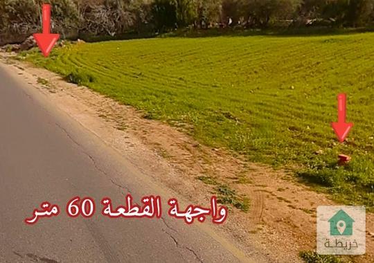 2 دونم سكن ج للبيع في بيرين 