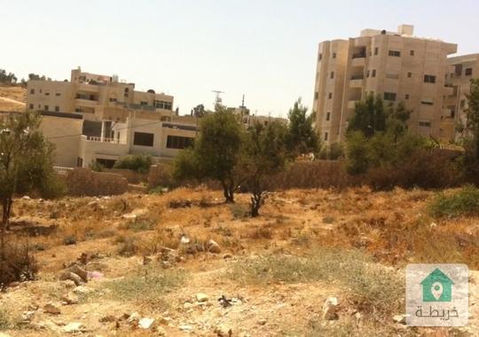 أرض سكنية مميزة ومرتفعه في أبو السوس من المالك مباشرة