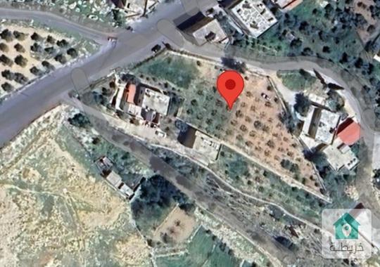 ارض للبيع عراق الامير