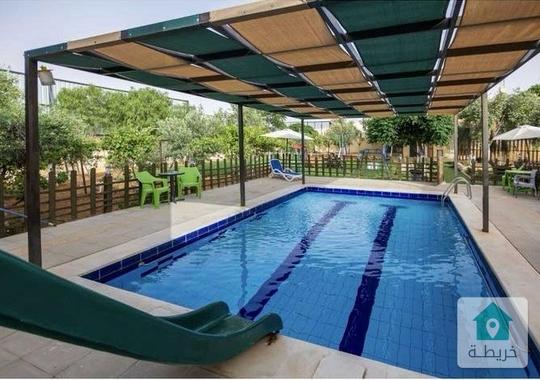 مزرعة البيلسان خيارك الأفضل لصيف غير شكل