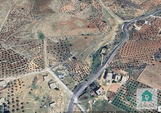 أرض مساحة 7 دونم و 500م للبيع في عمان  عراق الأمير ابو السمسم