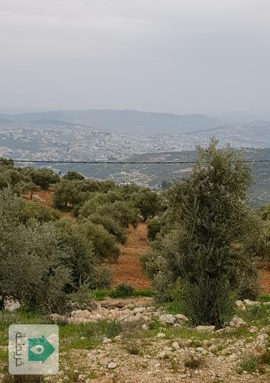 ارض مطلة للبيع في جرش