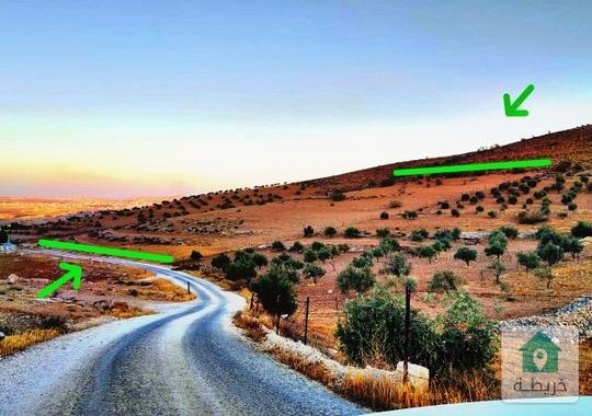 🌿 أرض زراعية للبيع – بيرين / صروت – أم خشيبة الشمالي 🌿📍 تبعد 20 دقيقة فقط عن عمّان