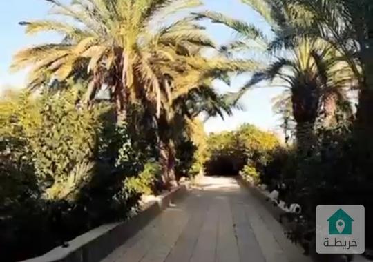 للبيع مزرعة فاخرة في الشونه الجنوبية – منطقة زياده 