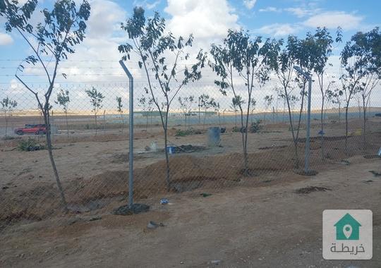 للبيع المستعجل والاستثمار السريع 5 قطع في المشتى