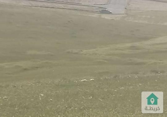 12دونم للبيع في  الموقر