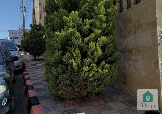 شقه للبيع بسعر مغري الموقع شفابدران قرب دوار التطبيقيه 