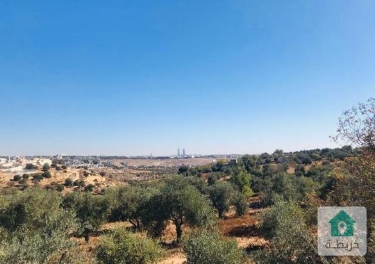 ارض للبيع في اجمل مناطق بدر الجديدة حوض ( ابو نعير ) ذات إطلالة بانوراما على منطقة دابوق. 