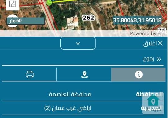 قطعه ارض مساحه ٨ دنم و٥٠٠ متر من اراضي غرب عمان البصه 