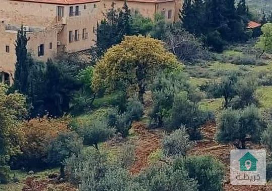 ارض للبيع في بلال الغروس الغربي 