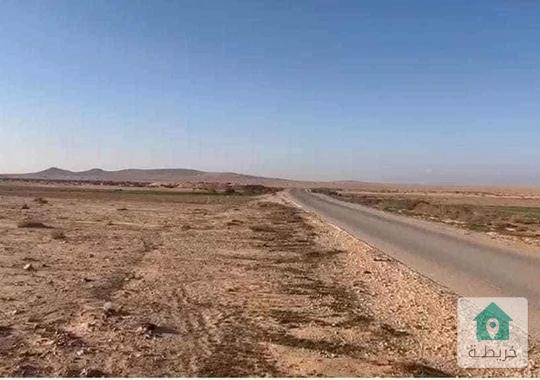 ارض للبيع بمنطقة ابو الحصاني مساحات القطع تبدأ من 5000 م متوفر مساحة 10 دونم و25 دونم