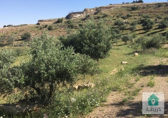 قطع اراضي للاستثمار 