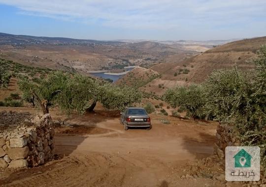 مزرعة للبيع في منطقة سوميا  فرصة استثمارية لا تعوض 