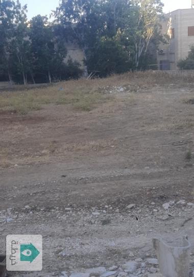 ارض للبيع 