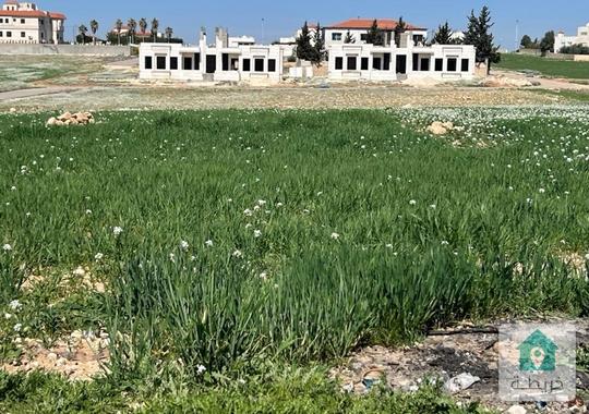 900م للبيع في منجا  حوض 3 تلعة نوران 