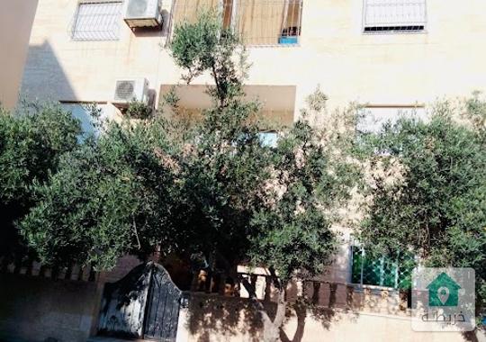 الزرقاء الزرقاء الجديدة شرقي تاني قرب مسجد احباب الله