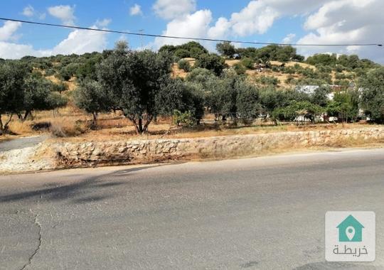 قطعة أرض في بدر الجديدة حوض بلال للبيع