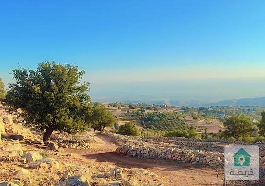 اراضي بدر الجديدة غرب عمان 