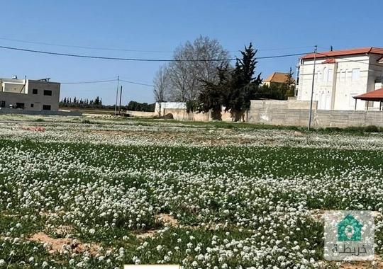 أرض للبيع 896 م في منجا حوض 3 تلعة نوران مقابل King's Academy مميزة جدا على شارعين