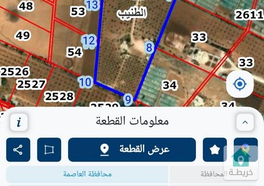 قطعة أرض مميزة الطنيب جنوب عمان 