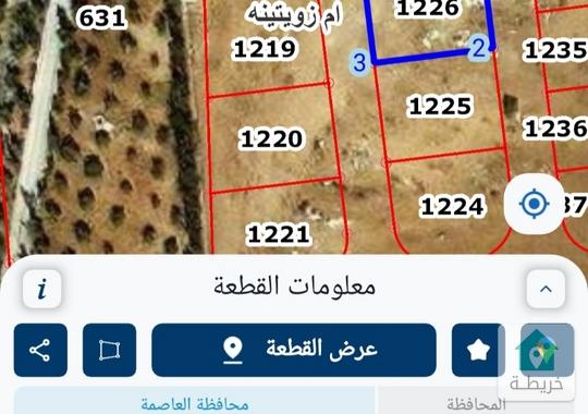 قطعه ارض في الجبيهه ام زويتينه بجانب كنيسه بطرياركيه اللاتين وشارع الاردن أعلى قمه في ام زيتينه فلل 