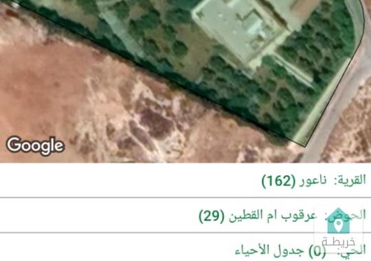 مزرعه+ بيت للبيع 