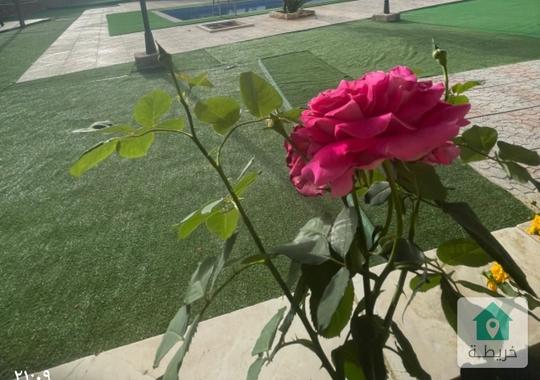 مزرعة وشاليه للبيع