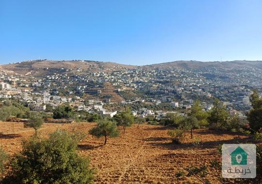 ارض زراعية للبيع في عجلون عنجرة حوض ابو حاطوم