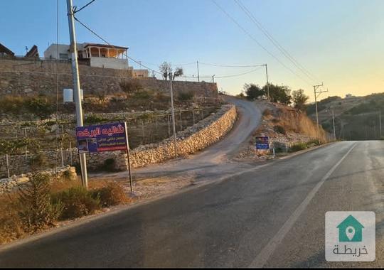 ارض للبيع في عجلون عين جنا