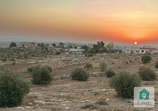 قطعة ارض في منطقة دليلة الحمايده من اعلى مناطق محافظة مادبا ارتفاعا تبعد عن الجامعة الاميركية 4min 