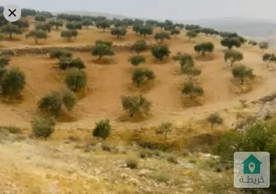 ارض بسعر ممتاز ..قريبه على شارع الاردن  وجرش وعمان 