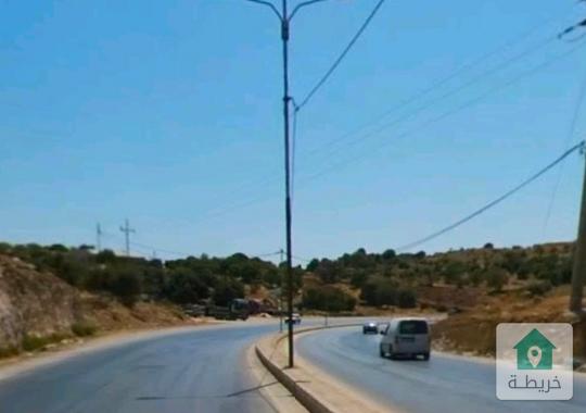 ارض زراعيه للبيع في عجلون عبين بالقرب من الطريق الرئيسي